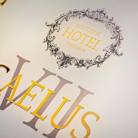 Boutique Hotel Caelus VII 통게렌 외부 사진