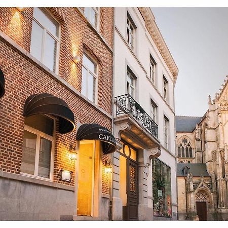Boutique Hotel Caelus VII 통게렌 외부 사진