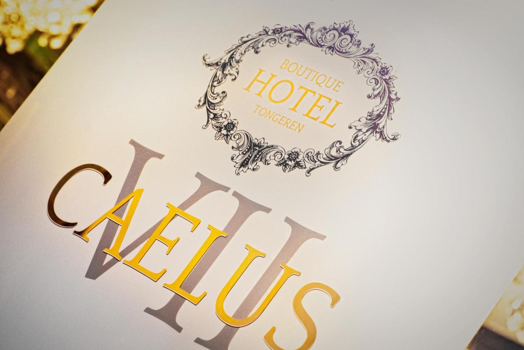 Boutique Hotel Caelus VII 통게렌 외부 사진