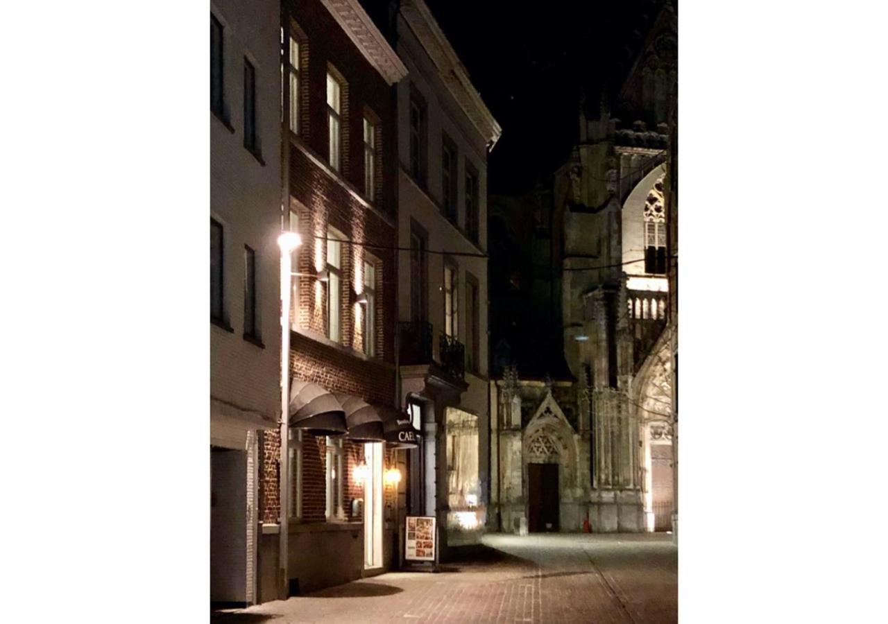 Boutique Hotel Caelus VII 통게렌 외부 사진
