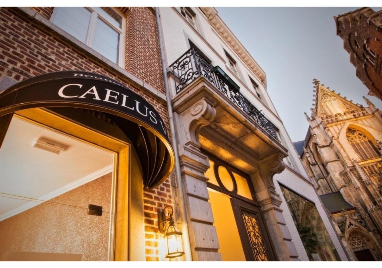 Boutique Hotel Caelus VII 통게렌 외부 사진